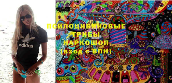 амф Аркадак