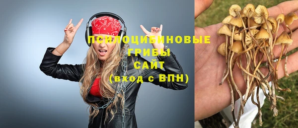 гидропоника Армянск