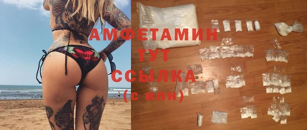 амф Аркадак