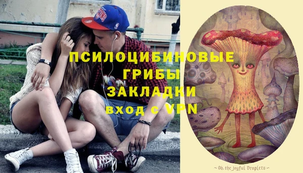 амф Аркадак