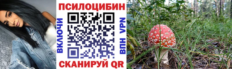 даркнет телеграм  Радужный  Галлюциногенные грибы MAGIC MUSHROOMS  где найти  
